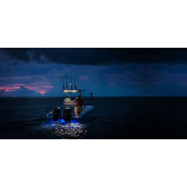 Lumitec SeaBlaze Mini LED Underwater Light - 2 pack