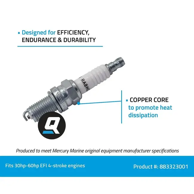 Champion Spark Plugs Champion Spark Plug RA8HC, #810