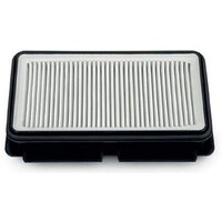 Filtre Hepa Rowenta sans sac RS-RT4109