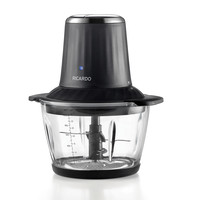 Ricardo mini food processor 063415