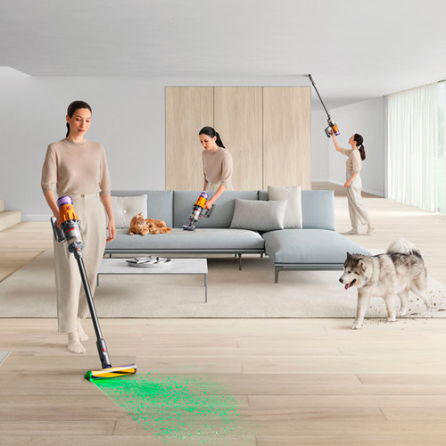 Dyson Dyson V12 detect slim absolute