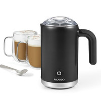 Ricardo milk frother 063419