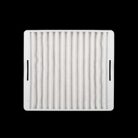 Filtre Samsung Hepa pré-moteur