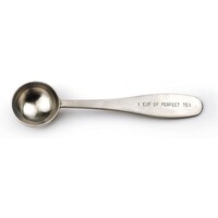 Cuillère à thé Perfect Scoop en inox