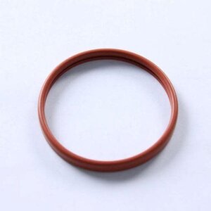 Saeco Saeco Filter holder conveyor seal 996530015878