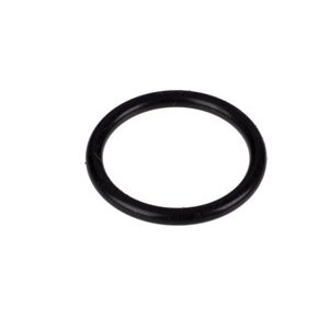 Delonghi Delonghi TrueBrew O'ring AS00005489 Delonghi Delonghi TrueBrew O'ring AS00005489