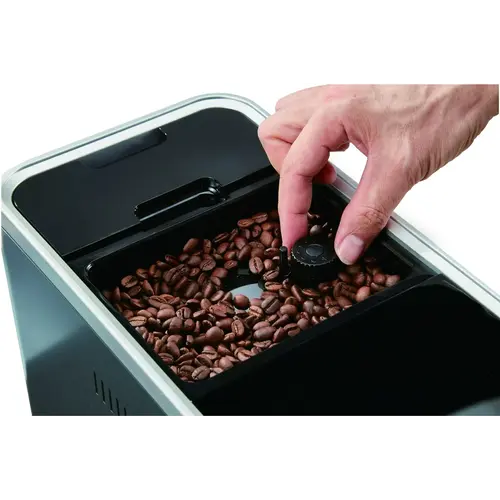 Bellucci Bellucci  Slim Café