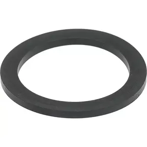 Avanti Portafilter Seal Avanti Capri (r008-0400691-00)