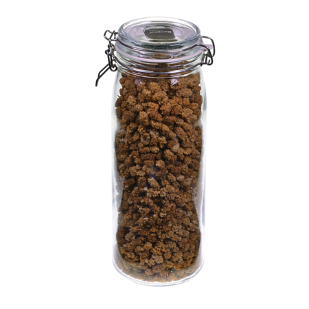 Mulberries, White - Dried - Organic 22.05 LB