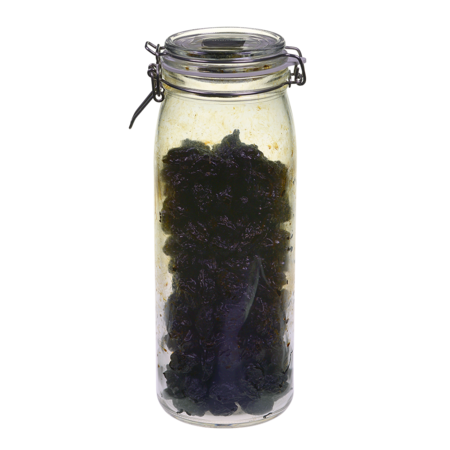 Prunes, Pitted - Dried - Organic 1500g