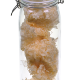 Fungus, White - Sundried 90g