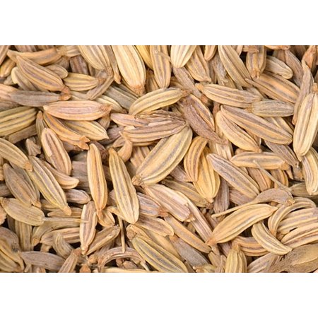 Fennel Seed, Whole - Organic 80g