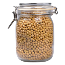 Beans, Soy - Raw - Organic 750g