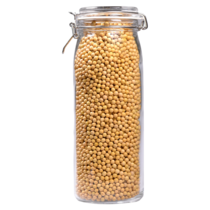 Beans, Soy - Raw - Organic 1600g