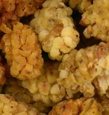 Mulberries, White - Dried - Organic 22.05 LB