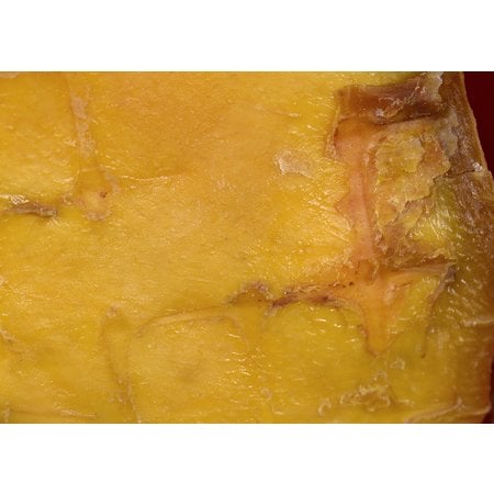 Mango, Dehydrated - Organic 1000g