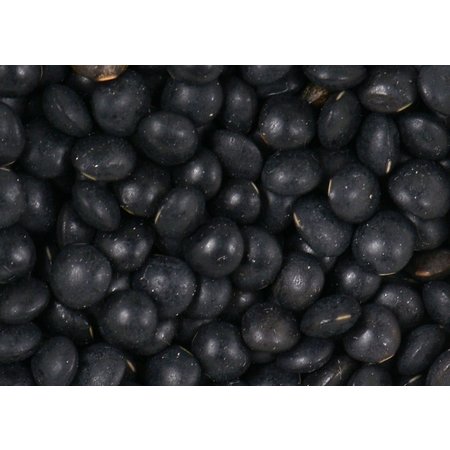 Lentils, Black - Raw - Organic 1900g