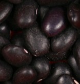 Beans, Black Turtle - Raw - Organic 700g