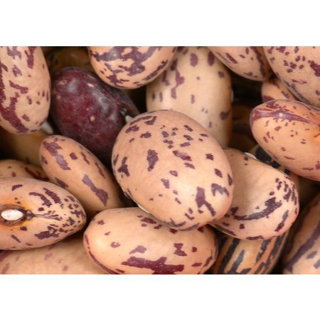 Beans, Pinto - Raw - Organic 1550g