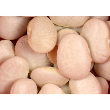 Beans, Lima - Raw - Organic 1650g