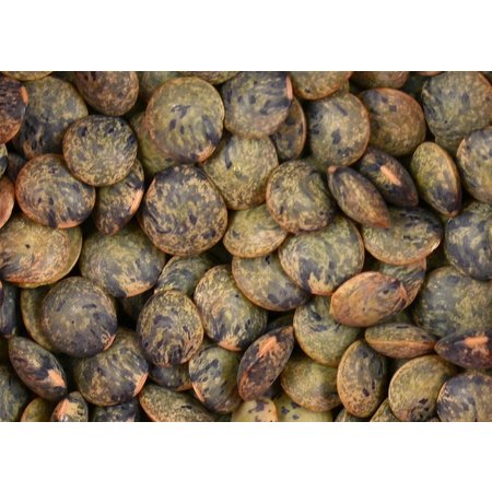 Lentils, French Green - Raw - Organic 800g