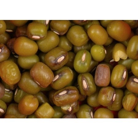 Beans, Mung - Raw - Organic 1750g