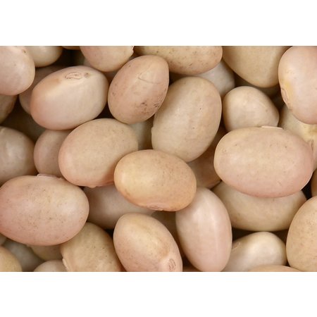 Beans, Navy - Raw - Organic 800g