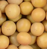 Beans, Soy - Raw - Organic 750g