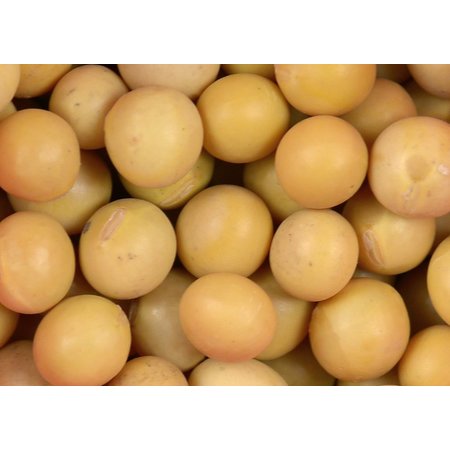 Beans, Soy - Raw - Organic 750g