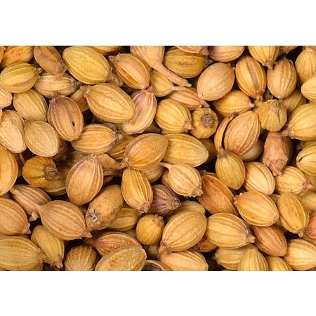 Coriander Seeds, Whole - Organic 50g