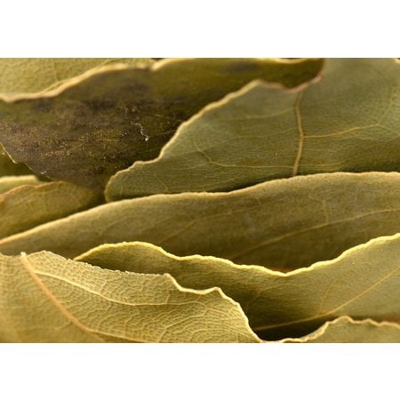 Bay Leaf, Whole - Organic 6g