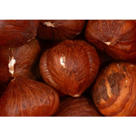 Hazelnuts - Raw - Organic 500g
