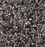 Seeds, Poppy - Raw - Organic 1300g