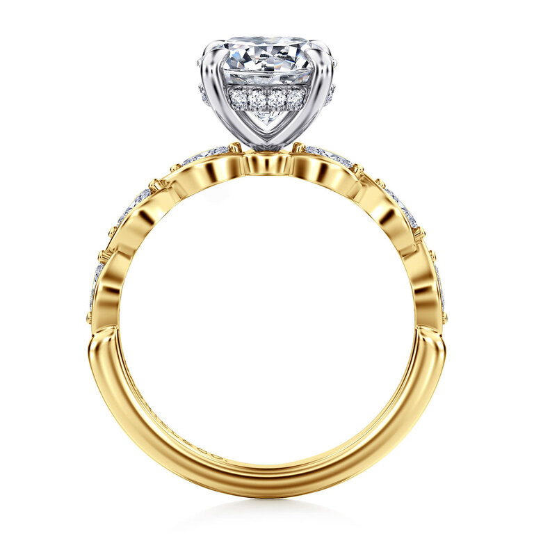 Image of described item