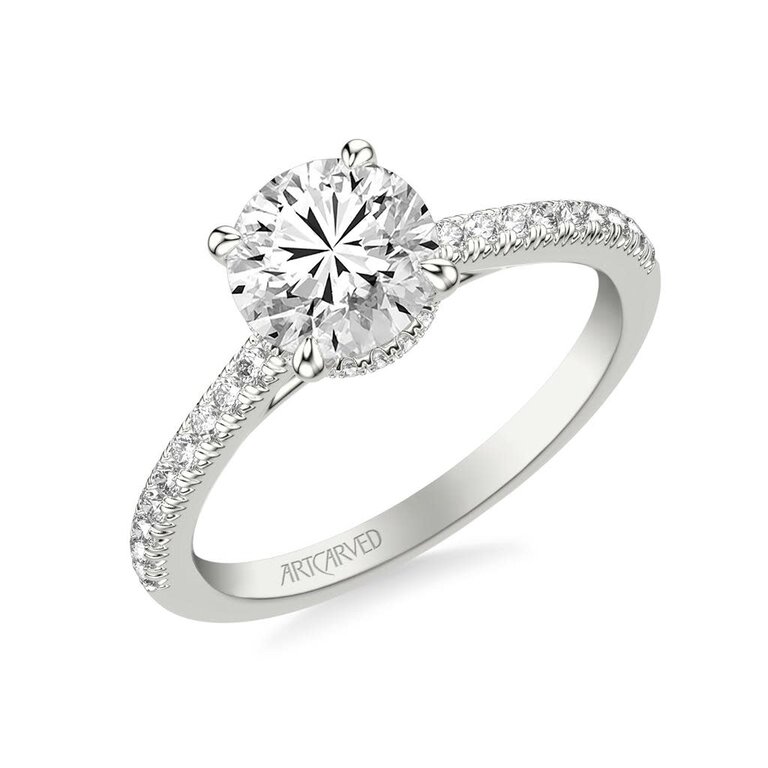 Image of described item