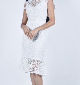 Frank Lyman White Fitted Lace Frill Dress