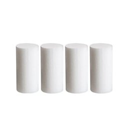 Air Venturi Replacement Filters for Nomad & Nomad II Compressors - 4 Count by Air Venturi | PY-A-8599