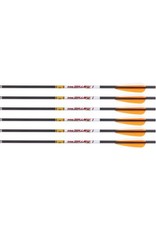 FX Airguns FX Varminator Airgun Arrows 350 Grains - 6 Rounds