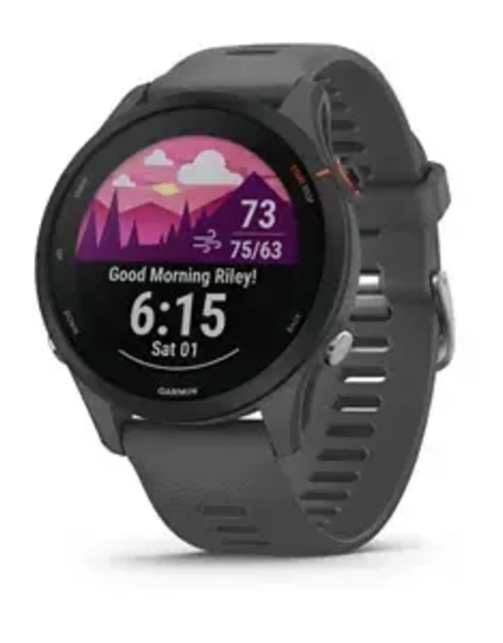 Garmin Forerunner® 255S, Powder Gray