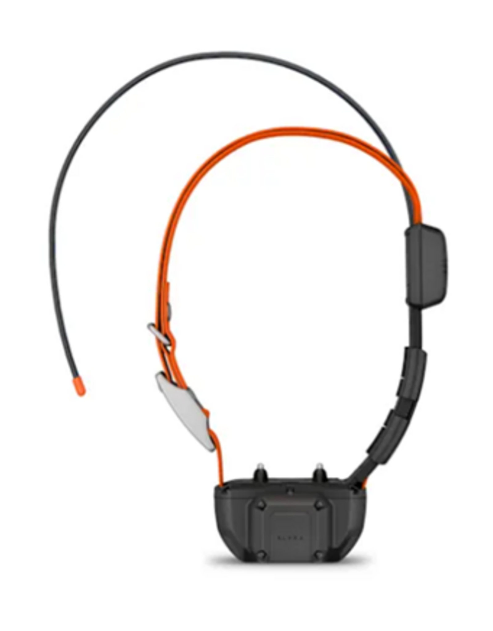 Garmin Alpha® TT 25 Dog Collar with Tracking Beeper