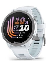 Garmin Forerunner® 170, Whitestone with Whitestone/Cloud Blue Band