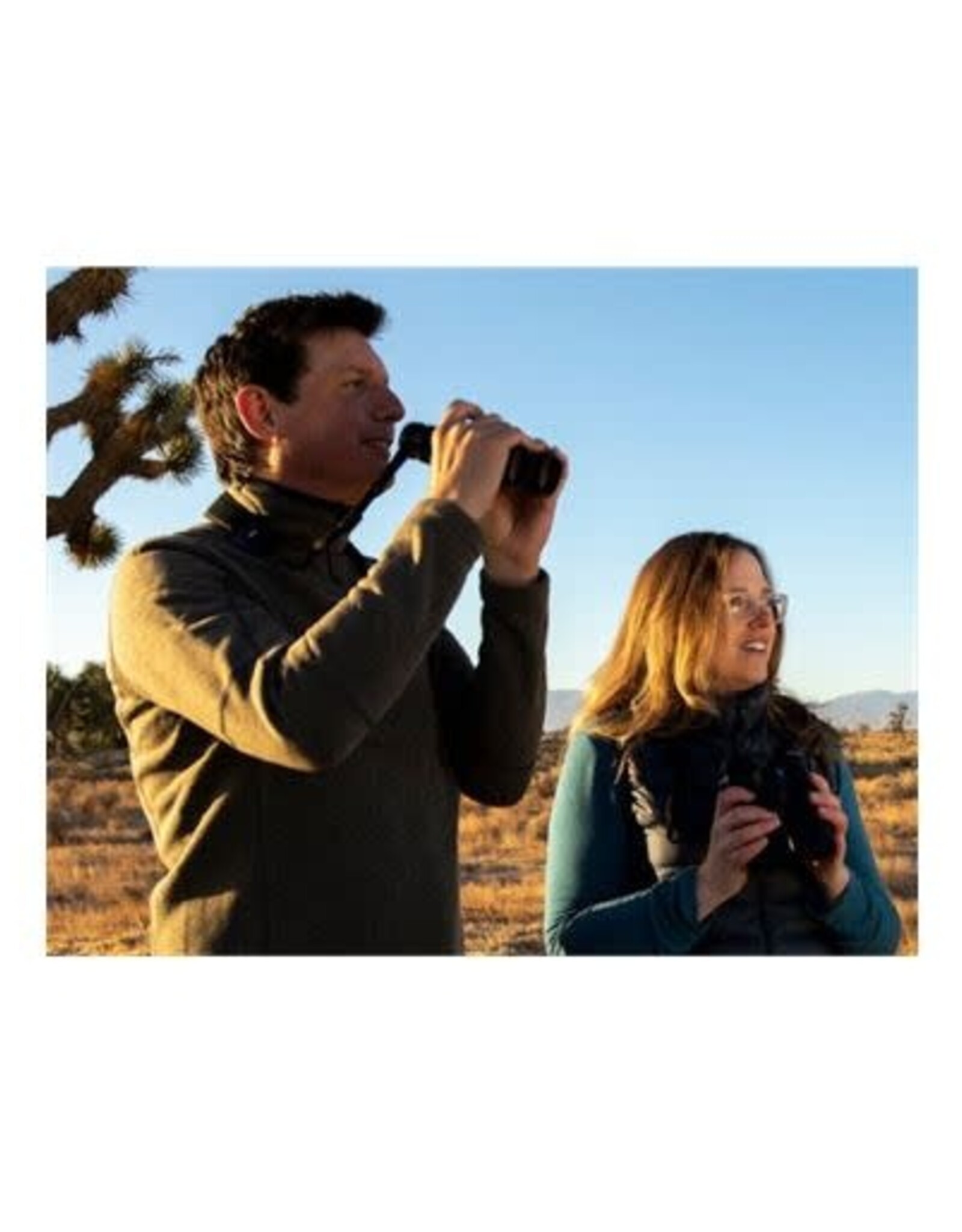 ZEISS - Sport Optics - Scopes and Binoculars SFL 8x40 Binocular