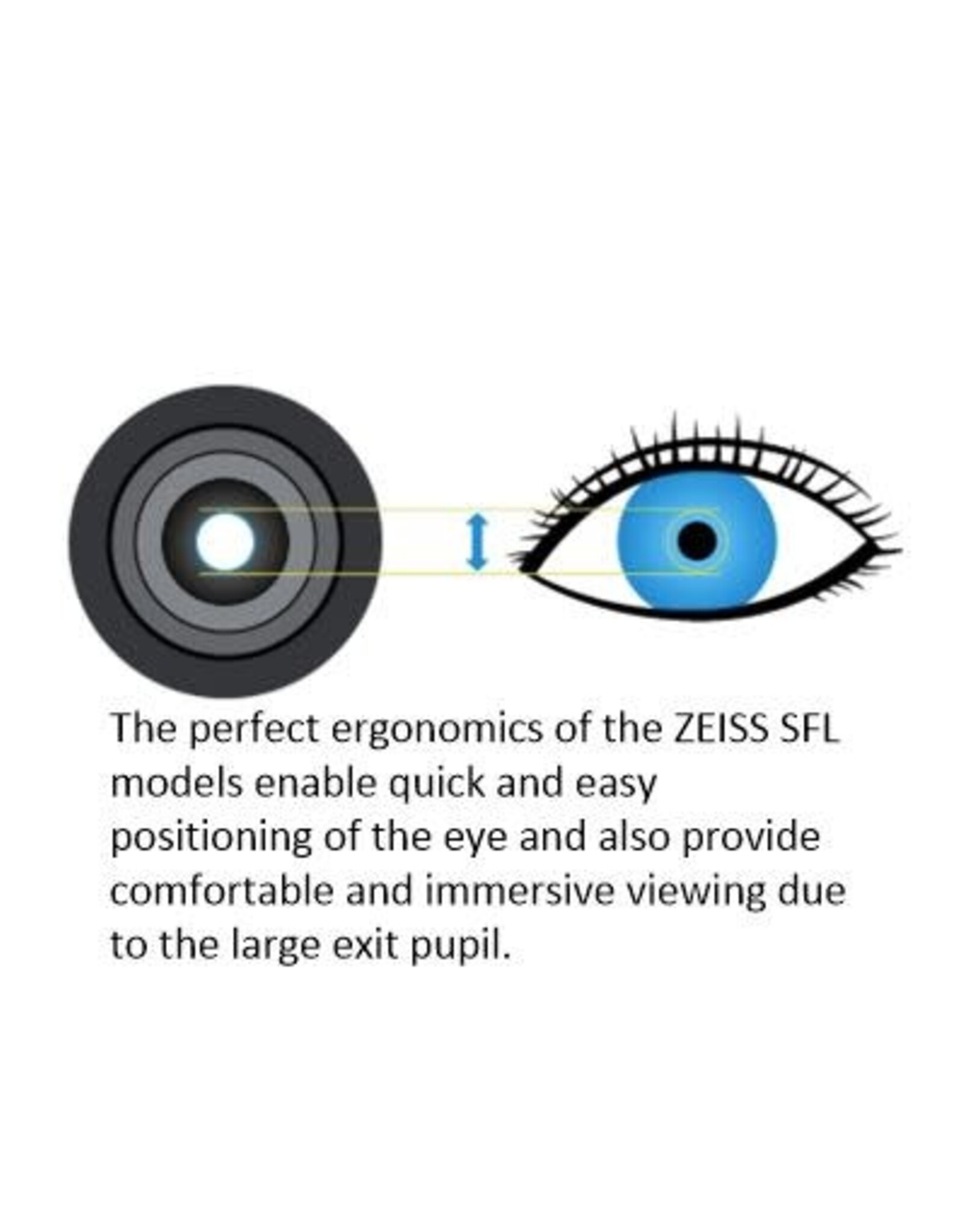 ZEISS - Sport Optics - Scopes and Binoculars SFL 8x40 Binocular