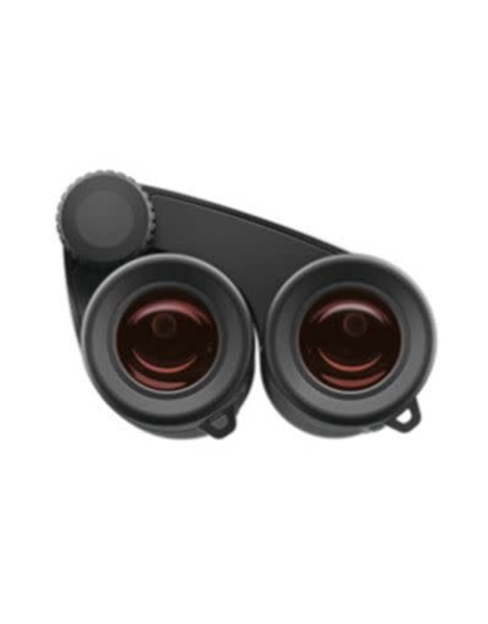 ZEISS - Sport Optics - Scopes and Binoculars ZEISS Victory 10x25 Pocket Binoculars