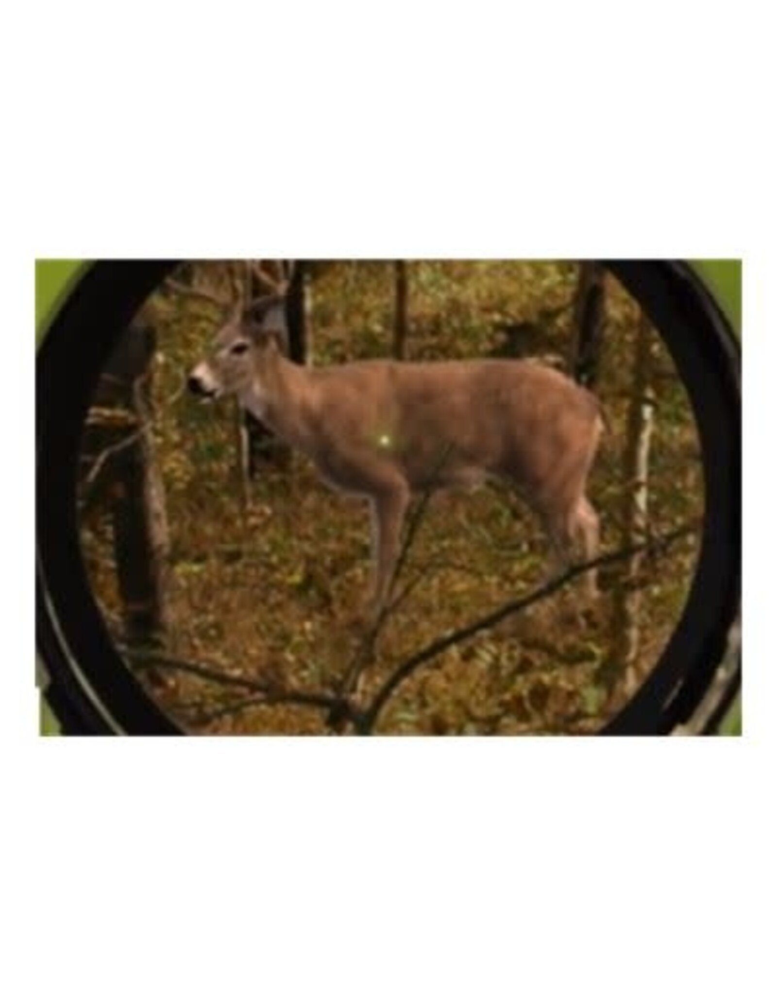Garmin Xero™ A1i Bow Sight, Left-handed Auto-ranging Digital Sight with Dual-color LED Pins