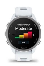 Garmin Forerunner® 170, Whitestone with Whitestone/Cloud Blue Band