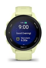 Garmin Forerunner® 70, Citron
