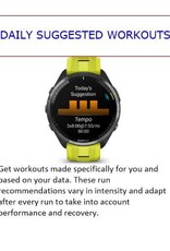 Garmin Forerunner® 965 - Titanium Bezel with Whitestone Case & Whitestone/Powder Gray Silicone Band