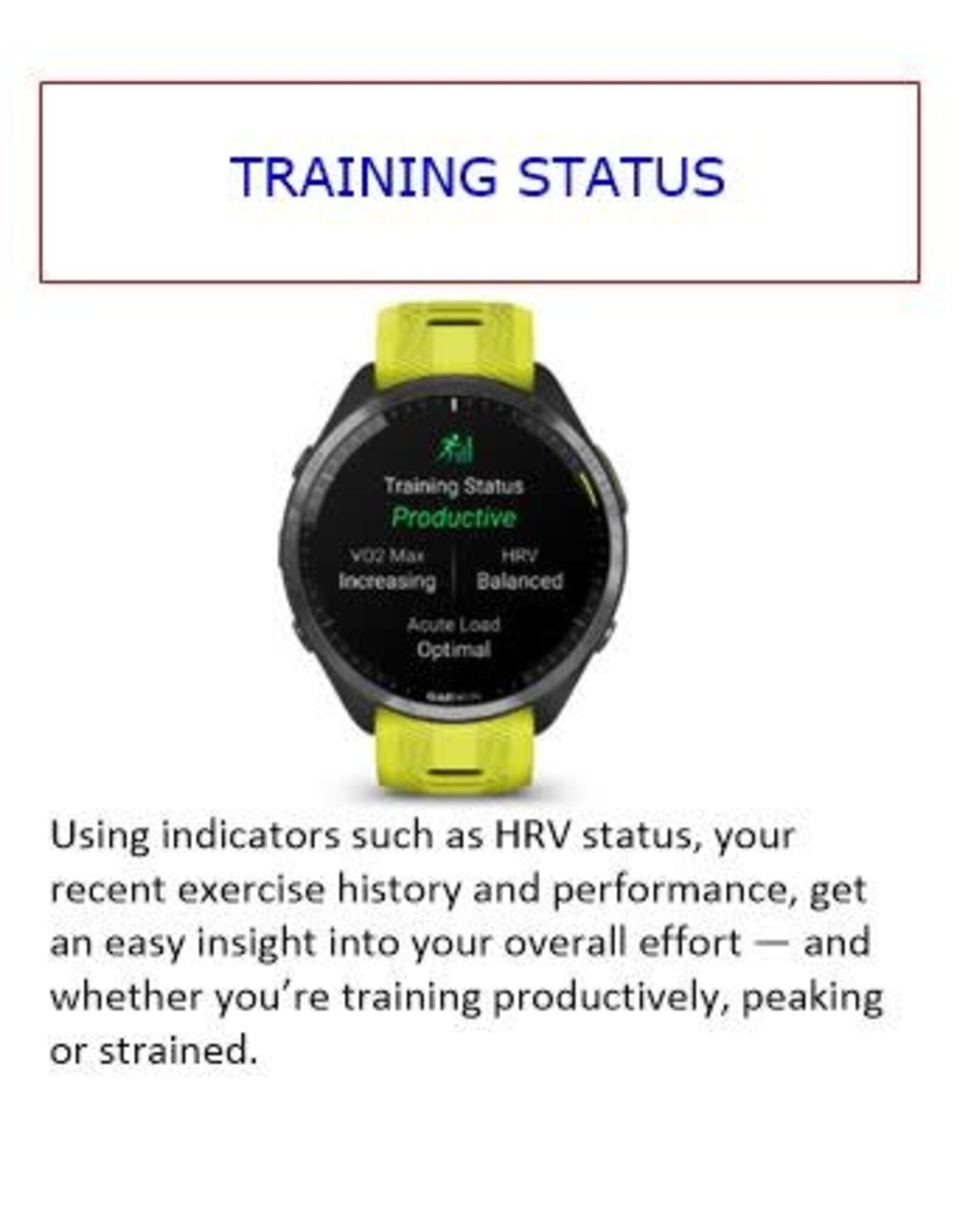Garmin Forerunner® 965 - Carbon Gray DLC Titanium Bezel with Black Case & Black/Powder Gray Silicone Band