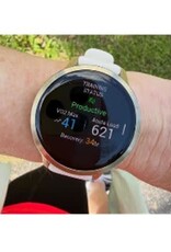 Garmin Venu® 4 – 41 mm - Lunar Gold with Bone Silicone & Light Sand Leather Band